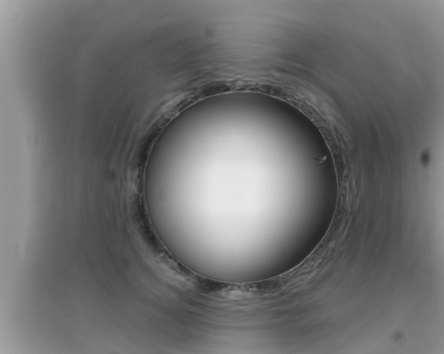 X0000095110756200712070919