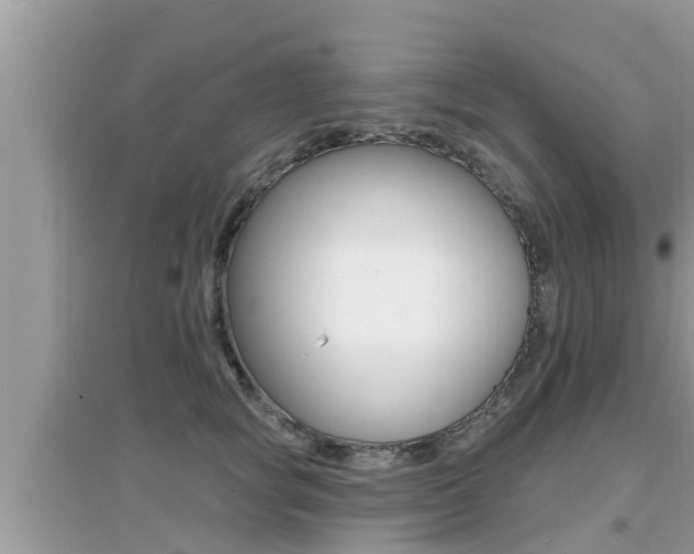 X0000095110757200712070919