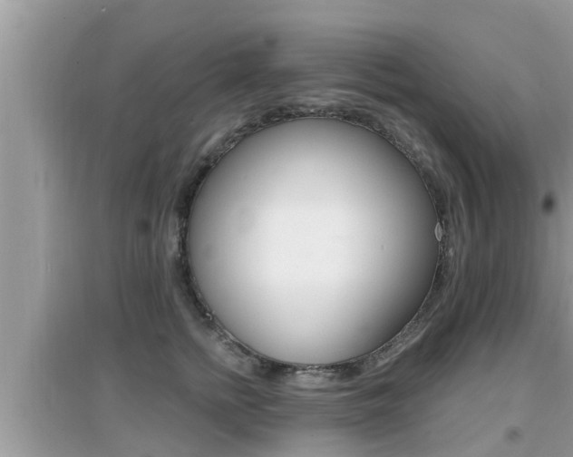 X0000095110758200712070919