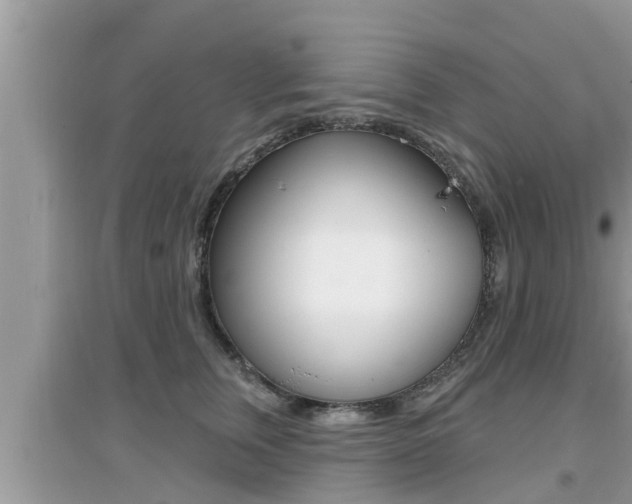X0000095110759200712070919