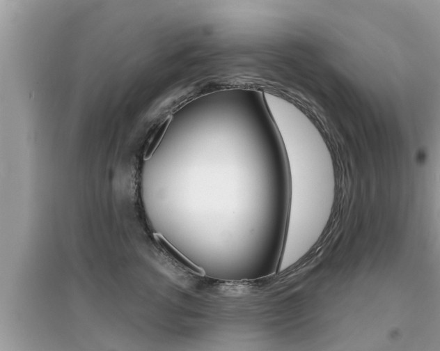 X0000095110762200712070919