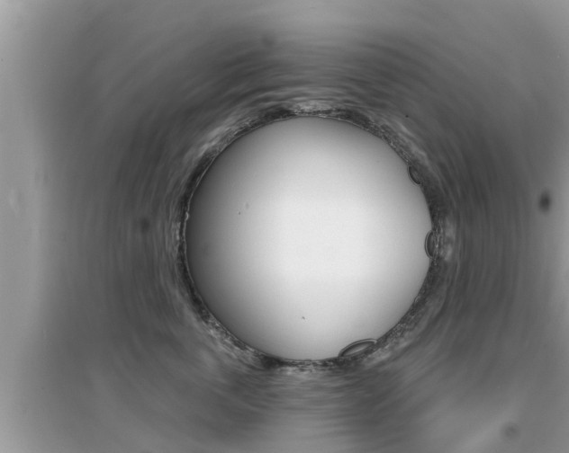 X0000095110763200712070919