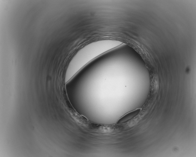X0000095110764200712070919