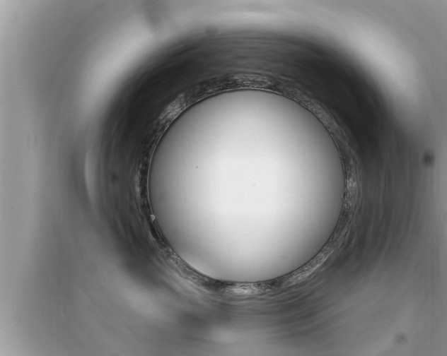 X0000095110765200712070919