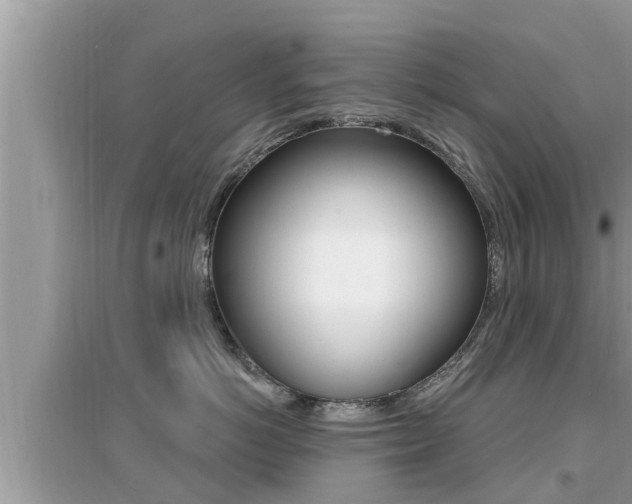 X0000095110766200712070919
