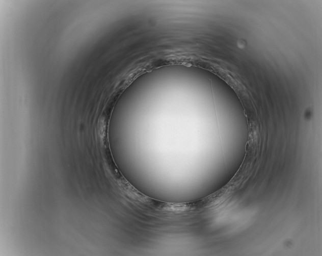 X0000095110767200712070919