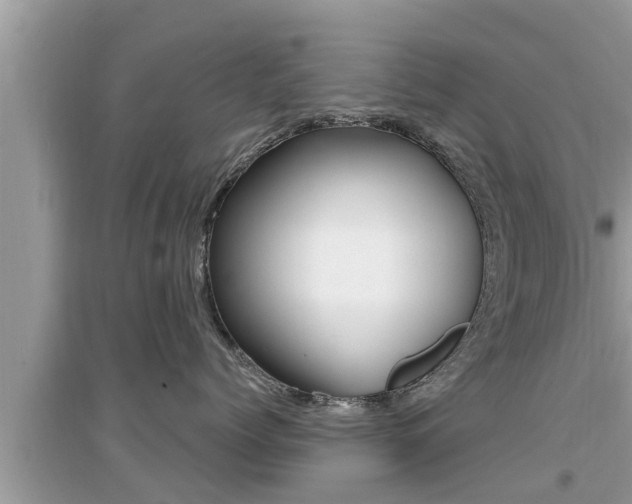 X0000095110768200712070919