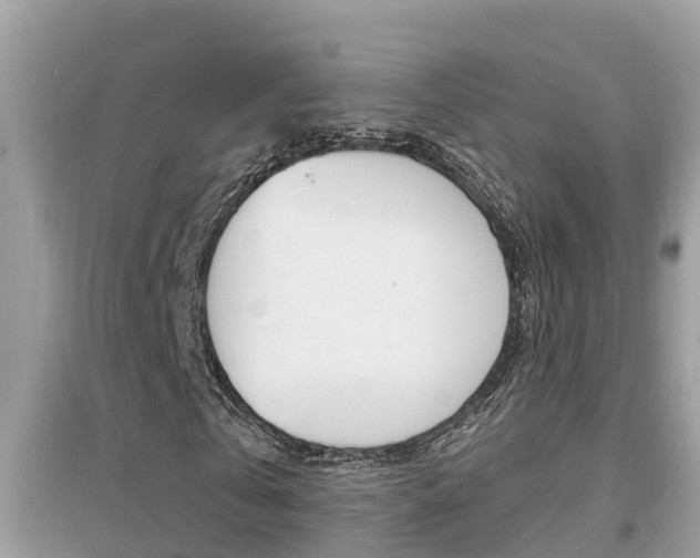 X0000095110769200712070918