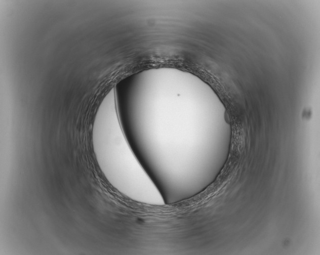 X0000095110770200712070918