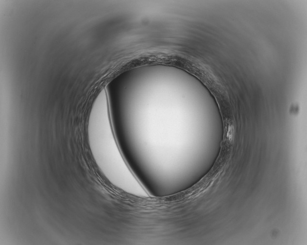 X0000095110771200712070918