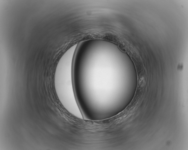 X0000095110772200712070918