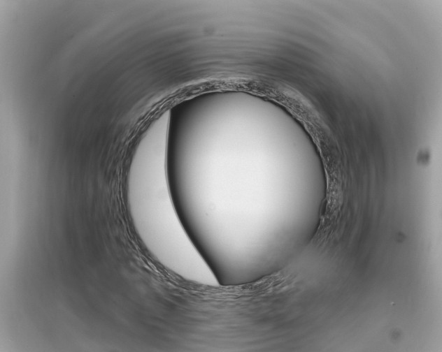 X0000095110773200712070918