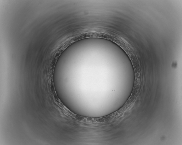 X0000095110774200712070918