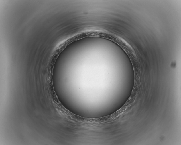 X0000095110775200712070918