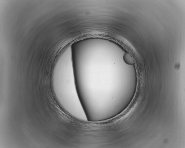 X0000095110777200712070918