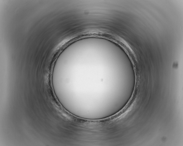 X0000095110778200712070918