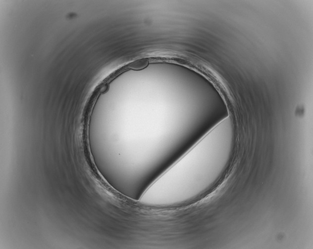 X0000095110779200712070918
