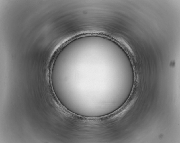 X0000095110781200712070918