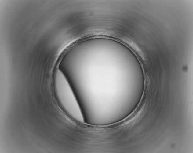 X0000095110782200712070918