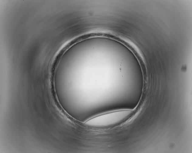 X0000095110783200712070918