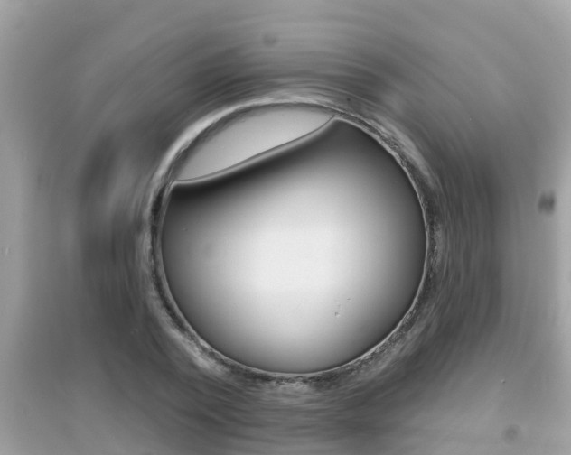 X0000095110784200712070918