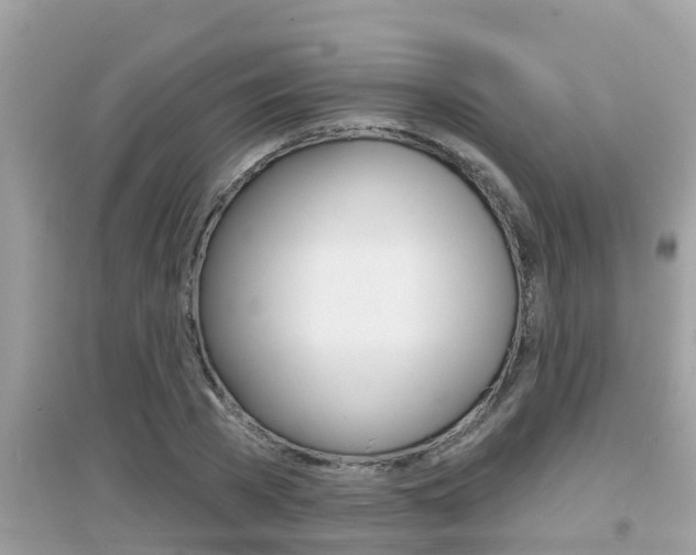 X0000095110785200712070918