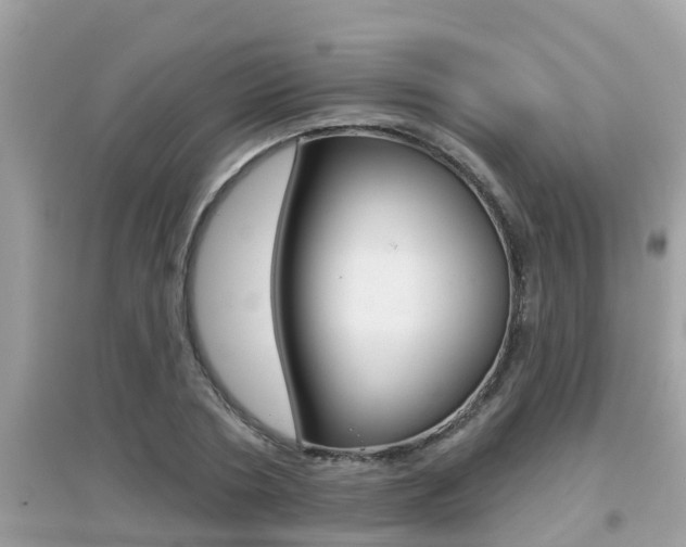 X0000095110786200712070918