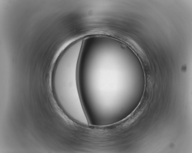 X0000095110788200712070918