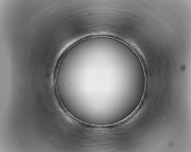 X0000095110789200712070918