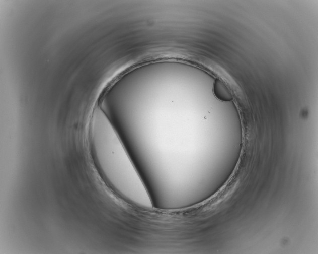 X0000095110790200712070918