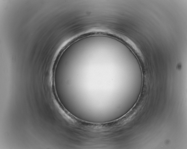 X0000095110791200712070918