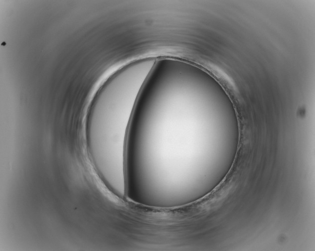 X0000095110792200712070918