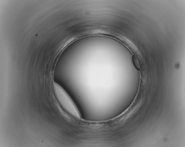 X0000095110793200712070918