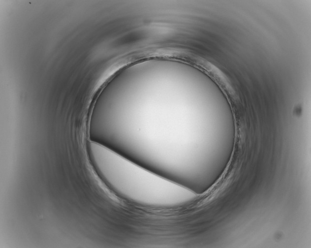 X0000095110794200712070918