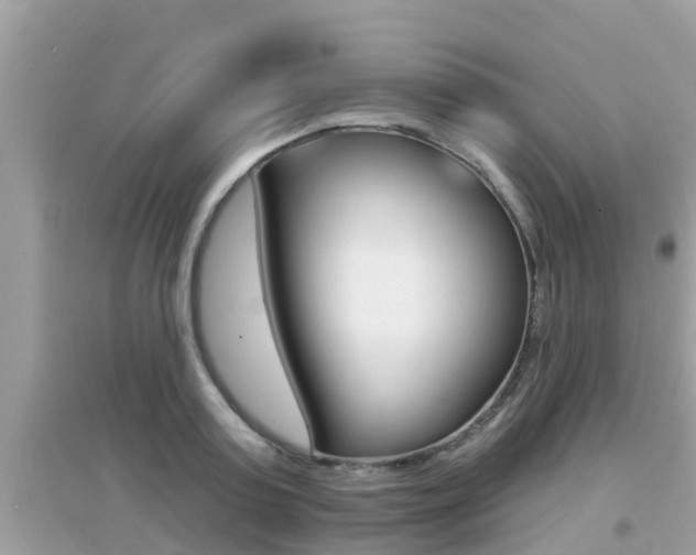 X0000095110795200712070918