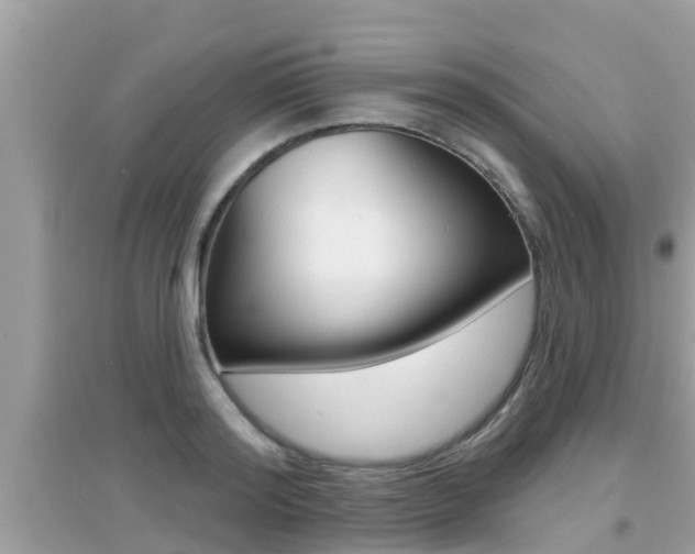 X0000095110796200712070918