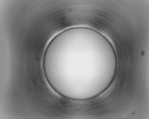 X0000095110797200712070918