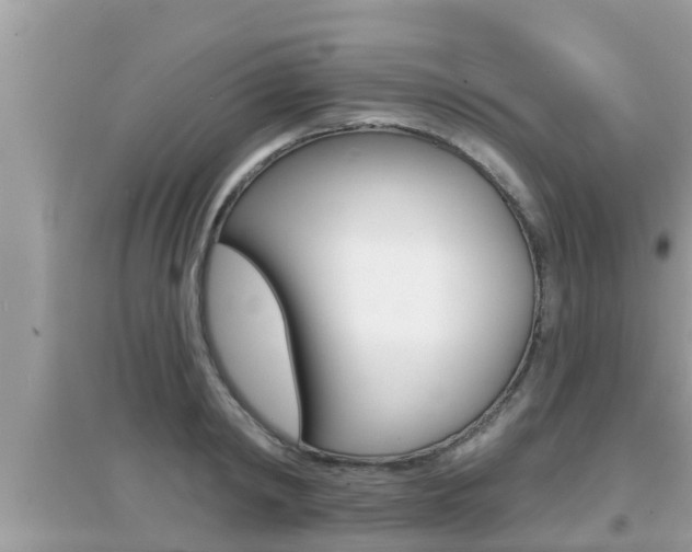 X0000095110798200712070918