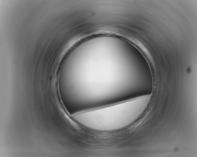 X0000095110799200712070918
