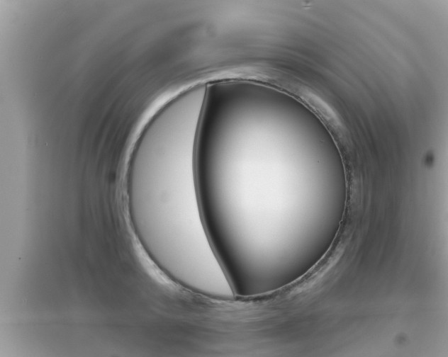 X0000095110800200712070918