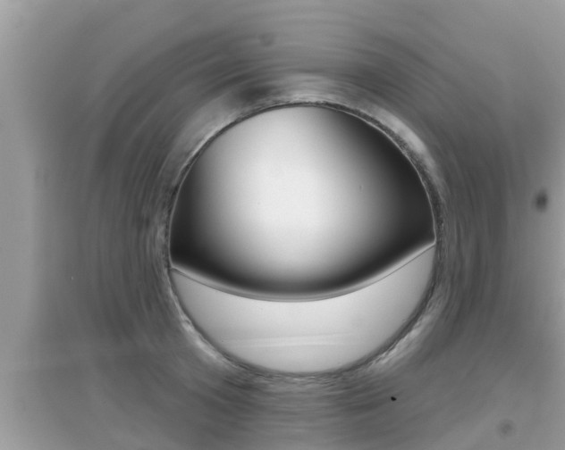 X0000095110801200712070918