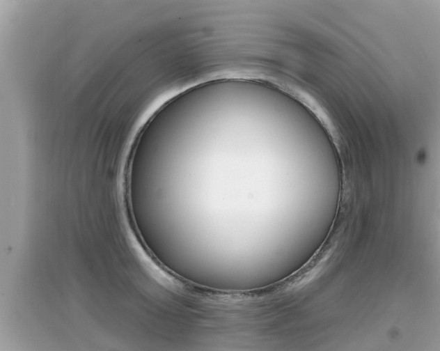 X0000095110803200712070918