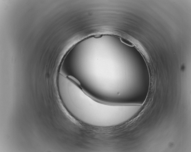 X0000095110805200712070918