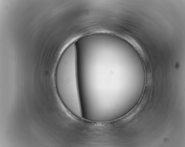 X0000095110806200712070918