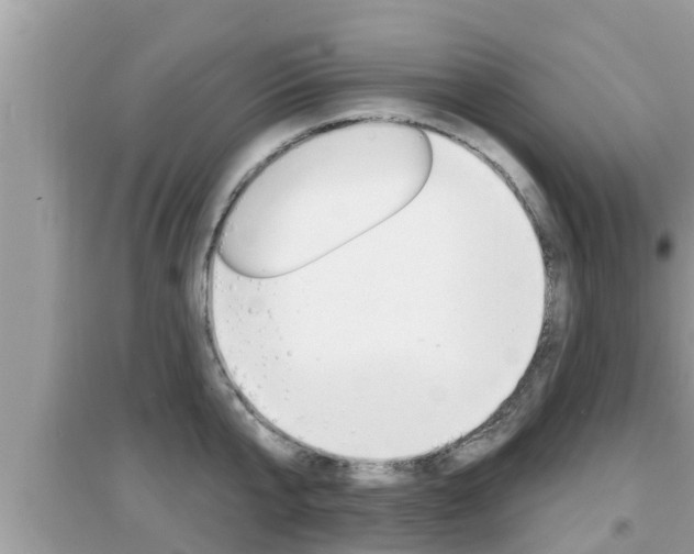 X0000095110807200712070918
