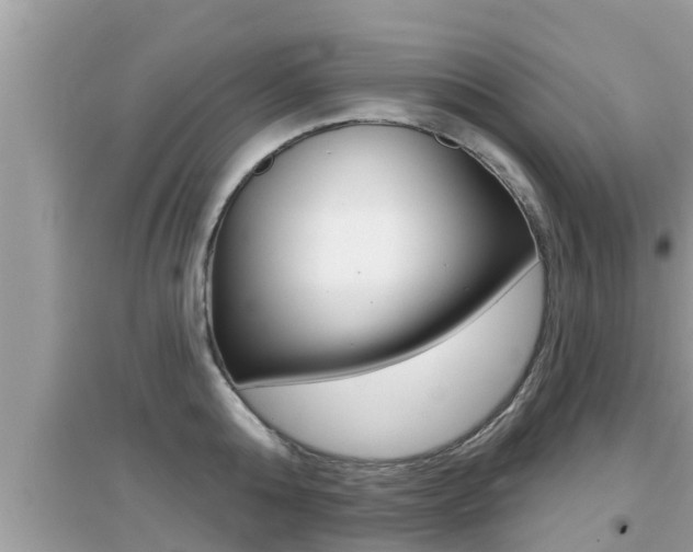 X0000095110808200712070918