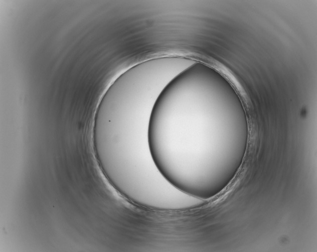 X0000095110810200712070918