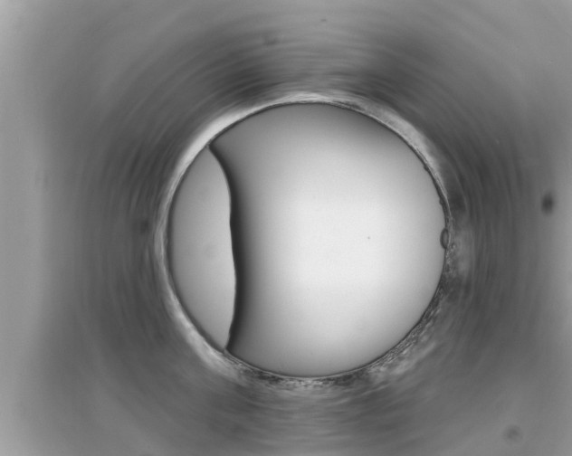 X0000095110811200712070918
