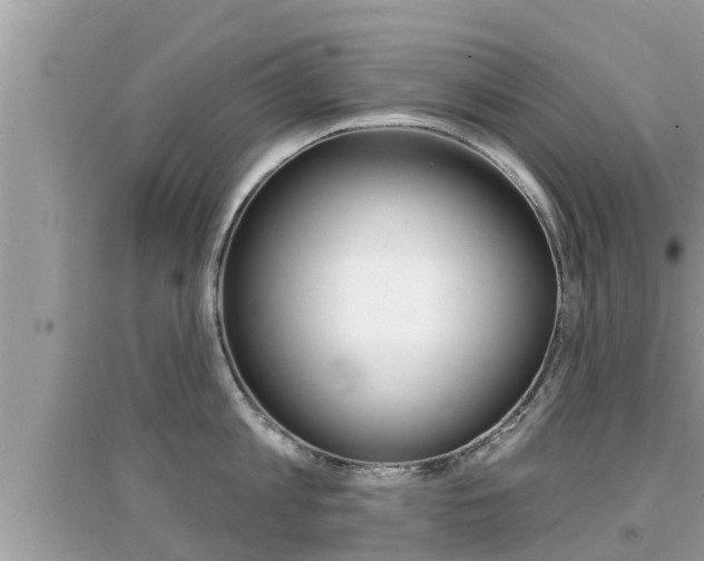 X0000095110813200712070918