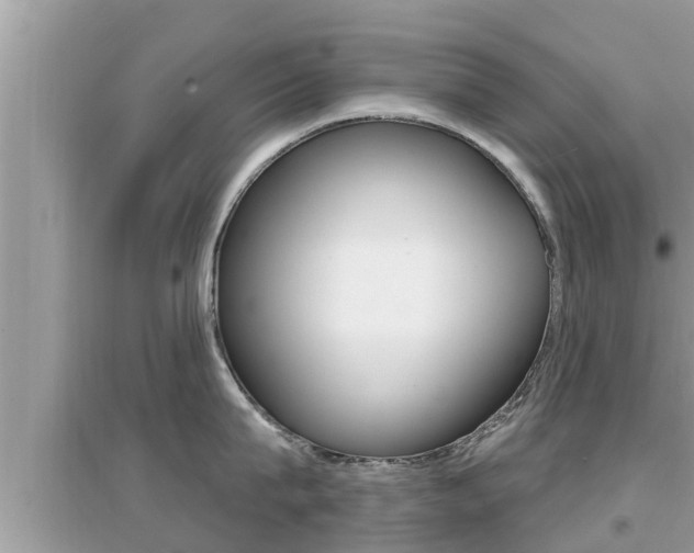 X0000095110815200712070918